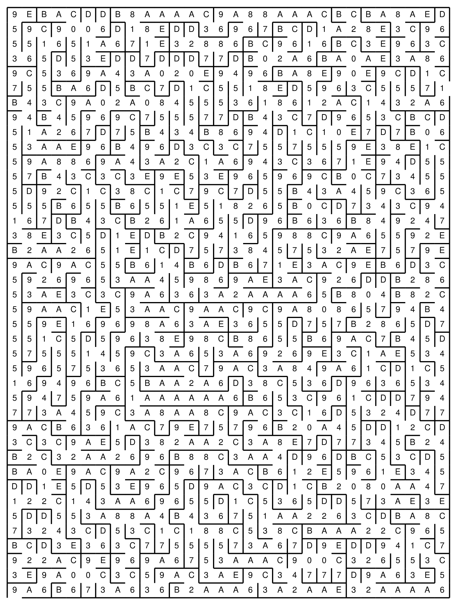 maze 100